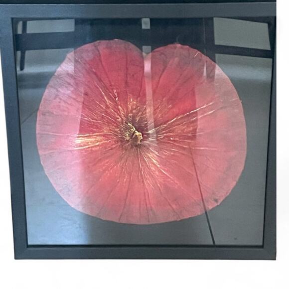 Uttermost Set of 2 Botanical Framed Shadow Box Wall Art Dried Lotus Flowers - Picture 9 of 10